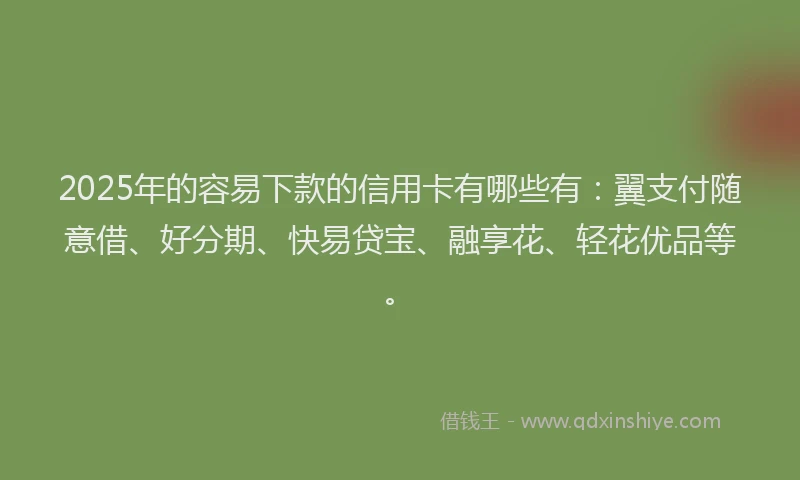 2025年的容易下款的信用卡有哪些有：翼支付随意借、好分期、快易贷宝、融享花、轻花优品等。