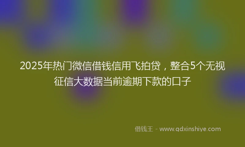 2025年热门微信借钱信用飞拍贷，整合5个无视征信大数据当前逾期下款的口子