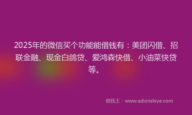 2025年的微信买个功能能借钱有：美团闪借、招联金融、现金白鸽贷、爱鸿森快借、小油菜快贷等。