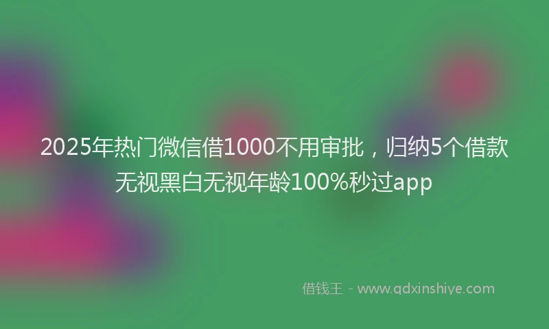 2025年热门微信借1000不用审批，归纳5个借款无视黑白无视年龄100%秒过app