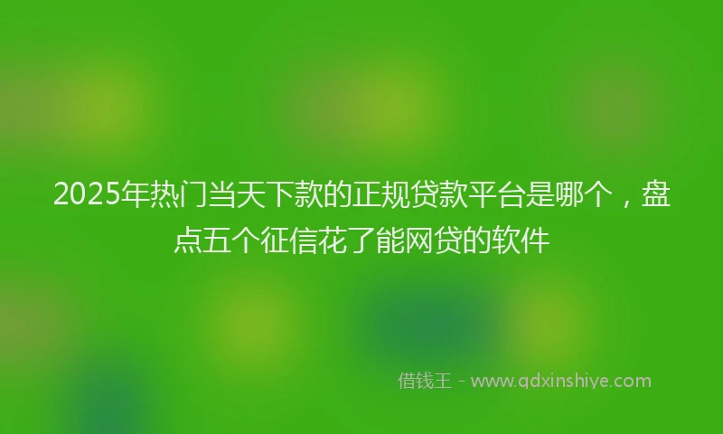 2025年热门当天下款的正规贷款平台是哪个，盘点五个征信花了能网贷的软件