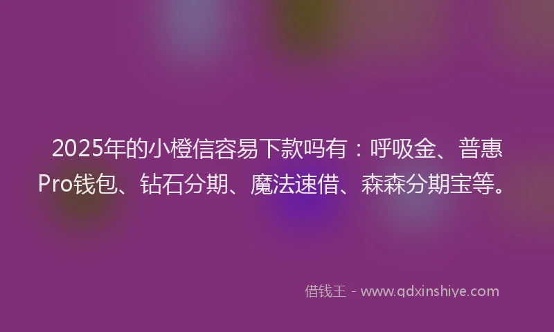 2025年的小橙信容易下款吗有：呼吸金、普惠Pro钱包、钻石分期、魔法速借、森森分期宝等。