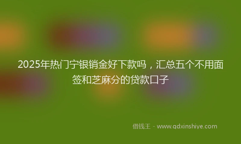 2025年热门宁银销金好下款吗，汇总五个不用面签和芝麻分的贷款口子