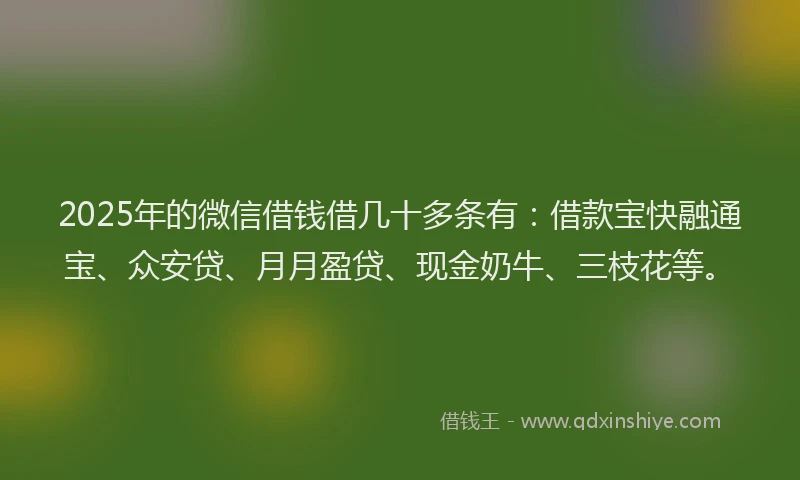 2025年的微信借钱借几十多条有：借款宝快融通宝、众安贷、月月盈贷、现金奶牛、三枝花等。