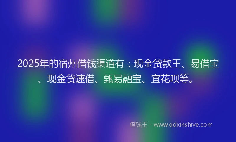 2025年的宿州借钱渠道有：现金贷款王、易借宝、现金贷速借、甄易融宝、宜花呗等。