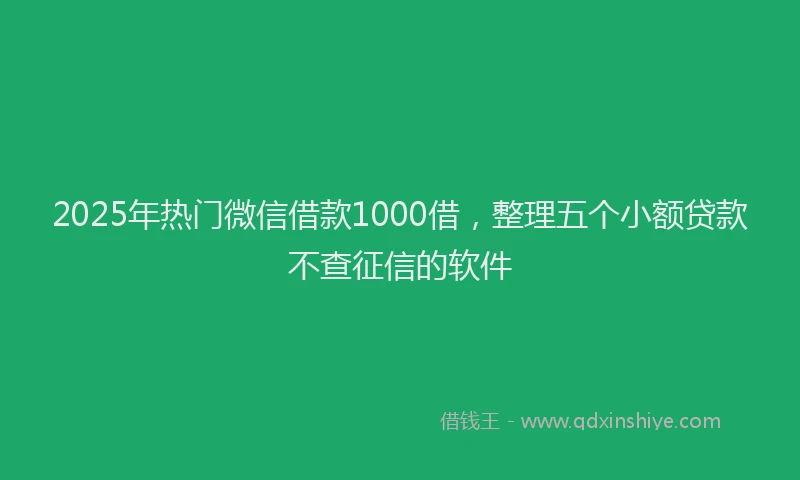 2025年热门微信借款1000借，整理五个小额贷款不查征信的软件