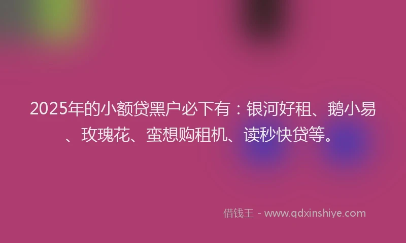 2025年的小额贷黑户必下有：银河好租、鹅小易、玫瑰花、蛮想购租机、读秒快贷等。