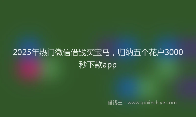 2025年热门微信借钱买宝马，归纳五个花户3000秒下款app