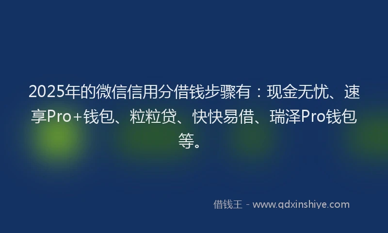 2025年的微信信用分借钱步骤有：现金无忧、速享Pro+钱包、粒粒贷、快快易借、瑞泽Pro钱包等。