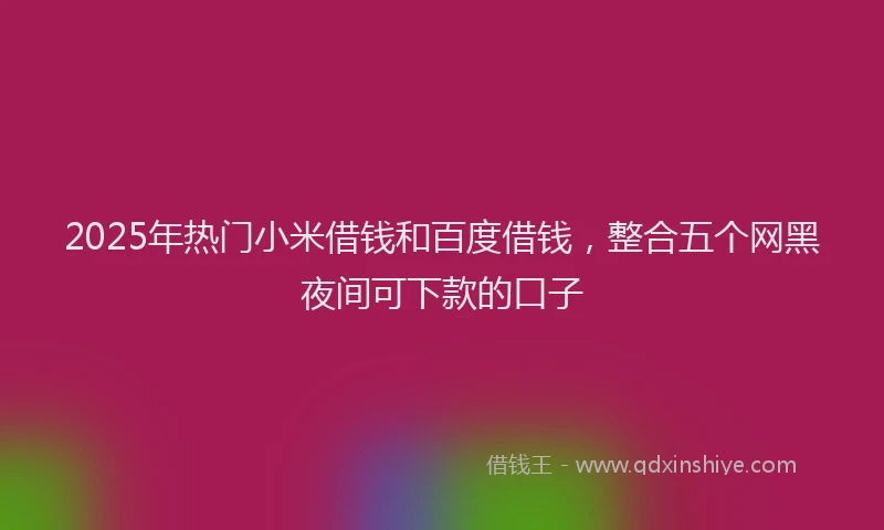 2025年热门小米借钱和百度借钱，整合五个网黑夜间可下款的口子