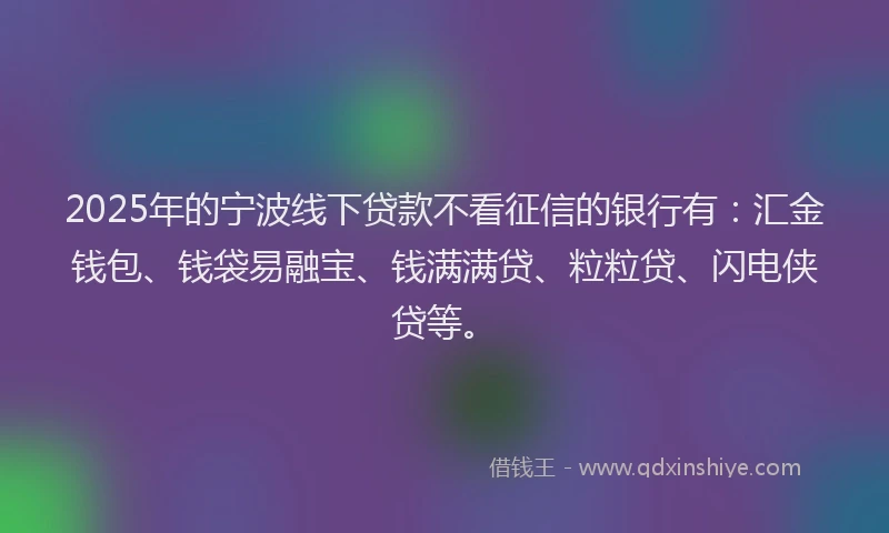2025年的宁波线下贷款不看征信的银行有：汇金钱包、钱袋易融宝、钱满满贷、粒粒贷、闪电侠贷等。