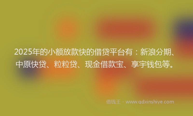 2025年的小额放款快的借贷平台有：新浪分期、中原快贷、粒粒贷、现金借款宝、享宇钱包等。