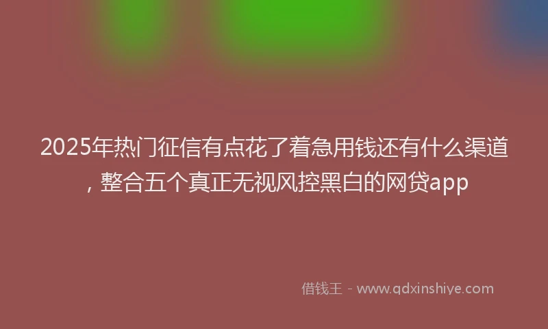 2025年热门征信有点花了着急用钱还有什么渠道，整合五个真正无视风控黑白的网贷app
