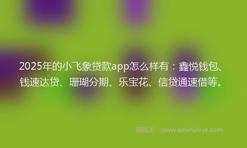 2025年的小飞象贷款app怎么样有：鑫悦钱包、钱速达贷、珊瑚分期、乐宝花、信贷通速借等。
