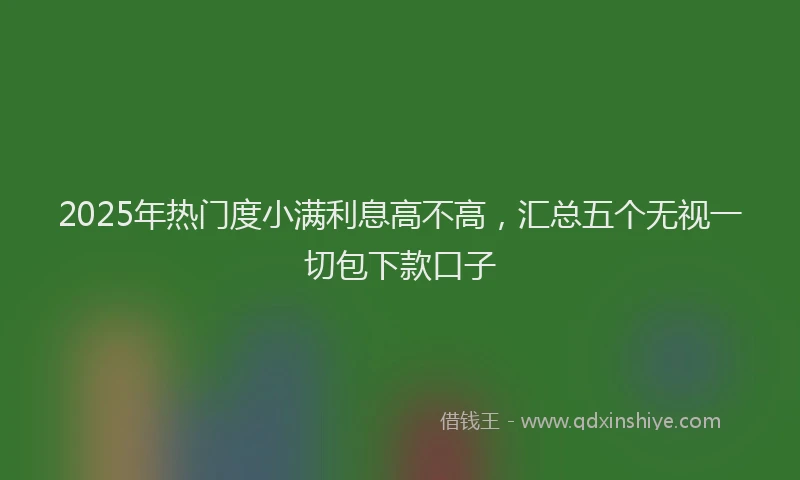 2025年热门度小满利息高不高，汇总五个无视一切包下款口子