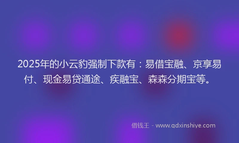 2025年的小云豹强制下款有：易借宝融、京享易付、现金易贷通途、疾融宝、森森分期宝等。