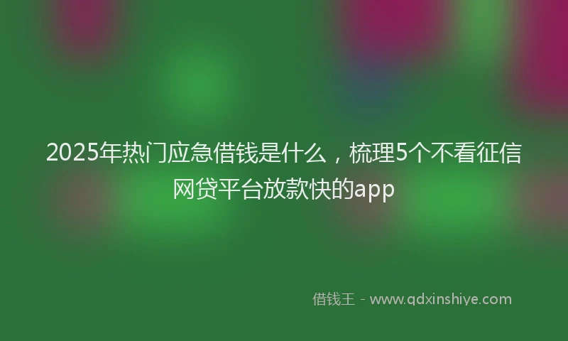 2025年热门应急借钱是什么，梳理5个不看征信网贷平台放款快的app