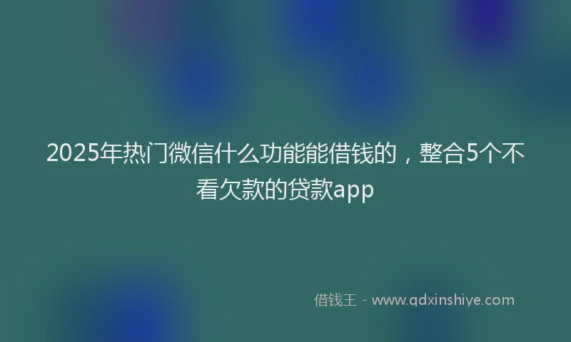 2025年热门微信什么功能能借钱的，整合5个不看欠款的贷款app