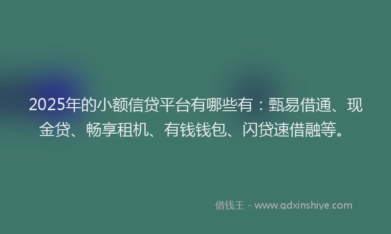 2025年的小额信贷平台有哪些有：甄易借通、现金贷、畅享租机、有钱钱包、闪贷速借融等。