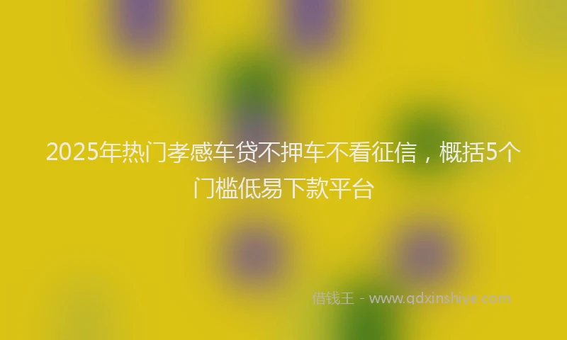 2025年热门孝感车贷不押车不看征信，概括5个门槛低易下款平台