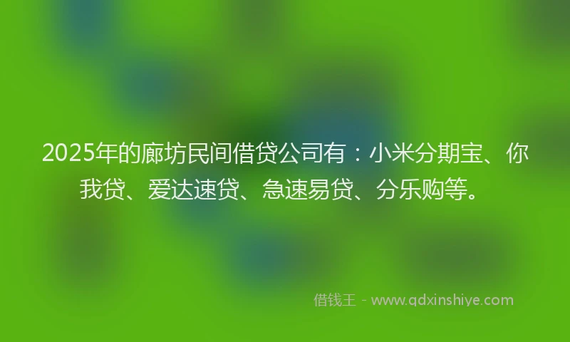 2025年的廊坊民间借贷公司有：小米分期宝、你我贷、爱达速贷、急速易贷、分乐购等。