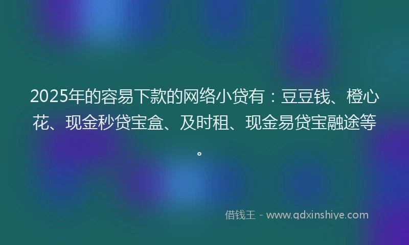 2025年的容易下款的网络小贷有：豆豆钱、橙心花、现金秒贷宝盒、及时租、现金易贷宝融途等。
