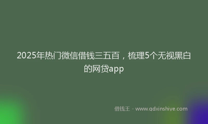 2025年热门微信借钱三五百，梳理5个无视黑白的网贷app