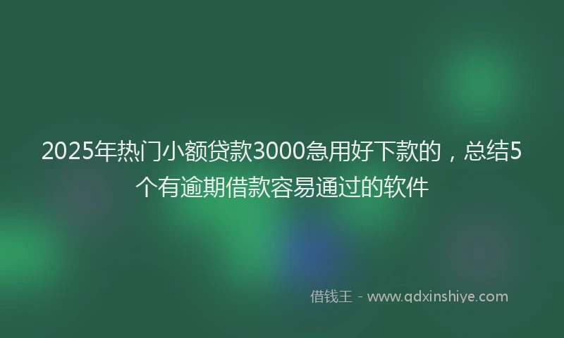 2025年热门小额贷款3000急用好下款的，总结5个有逾期借款容易通过的软件