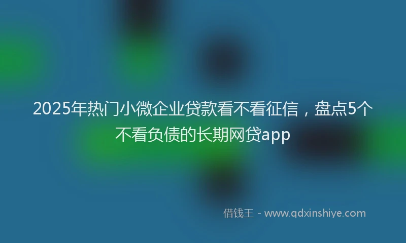 2025年热门小微企业贷款看不看征信，盘点5个不看负债的长期网贷app