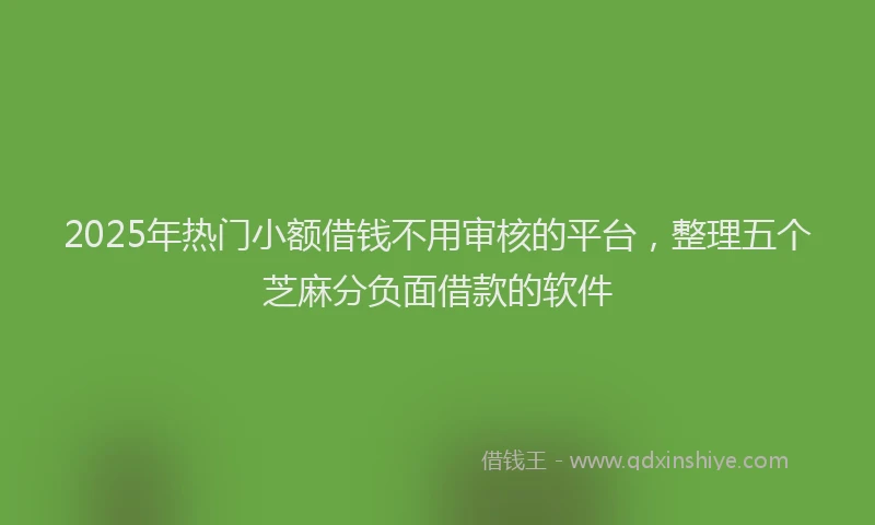 2025年热门小额借钱不用审核的平台，整理五个芝麻分负面借款的软件