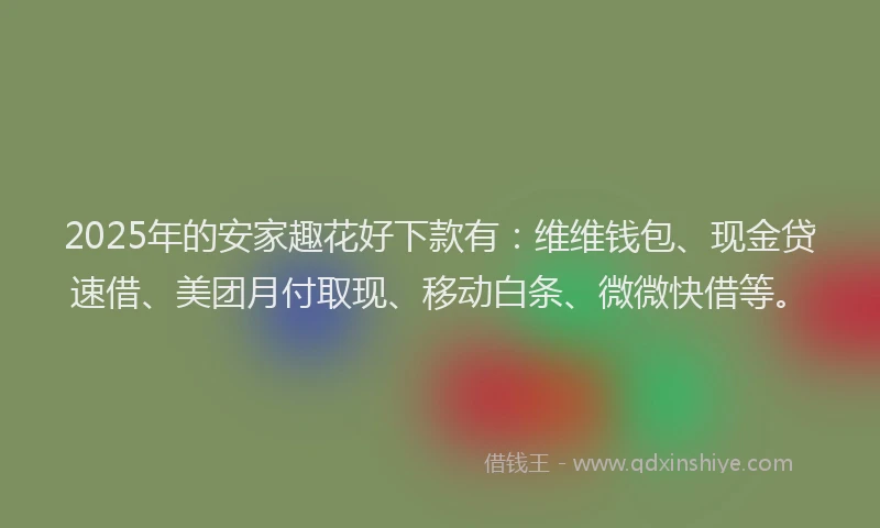 2025年的安家趣花好下款有：维维钱包、现金贷速借、美团月付取现、移动白条、微微快借等。