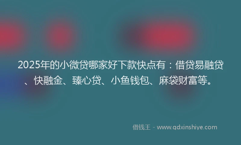 2025年的小微贷哪家好下款快点有：借贷易融贷、快融金、臻心贷、小鱼钱包、麻袋财富等。