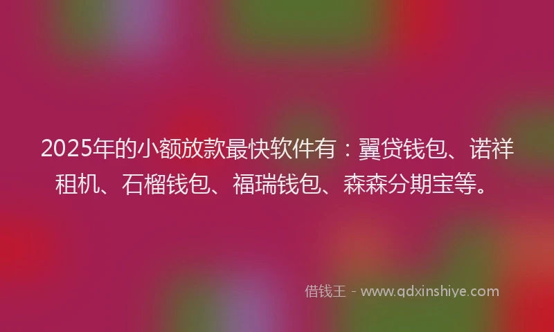 2025年的小额放款最快软件有：翼贷钱包、诺祥租机、石榴钱包、福瑞钱包、森森分期宝等。