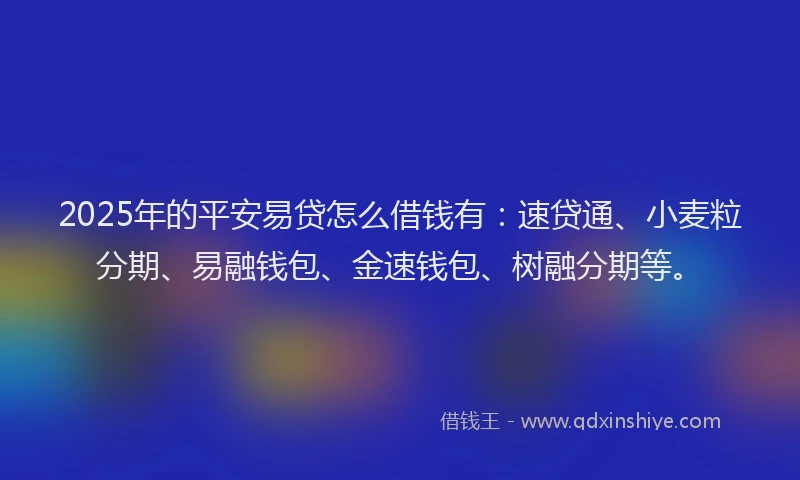2025年的平安易贷怎么借钱有：速贷通、小麦粒分期、易融钱包、金速钱包、树融分期等。