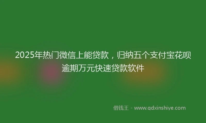 2025年热门微信上能贷款，归纳五个支付宝花呗逾期万元快速贷款软件