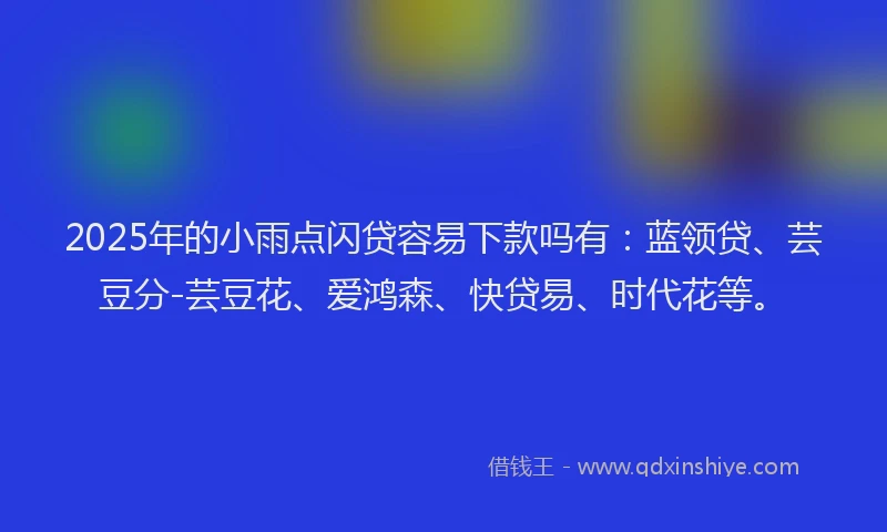 2025年的小雨点闪贷容易下款吗有：蓝领贷、芸豆分-芸豆花、爱鸿森、快贷易、时代花等。