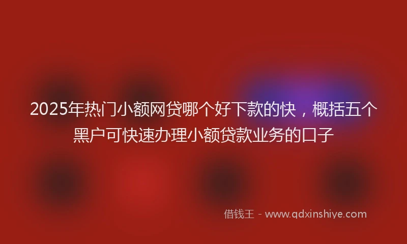 2025年热门小额网贷哪个好下款的快，概括五个黑户可快速办理小额贷款业务的口子