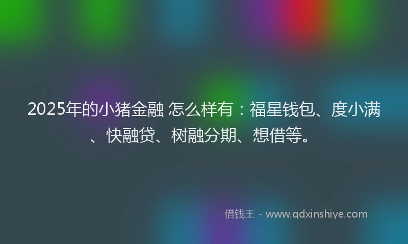 2025年的小猪金融 怎么样有：福星钱包、度小满、快融贷、树融分期、想借等。