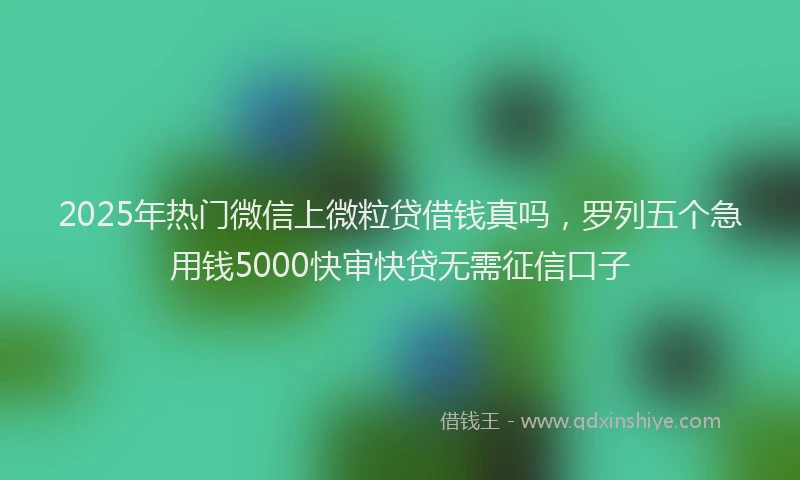 2025年热门微信上微粒贷借钱真吗，罗列五个急用钱5000快审快贷无需征信口子