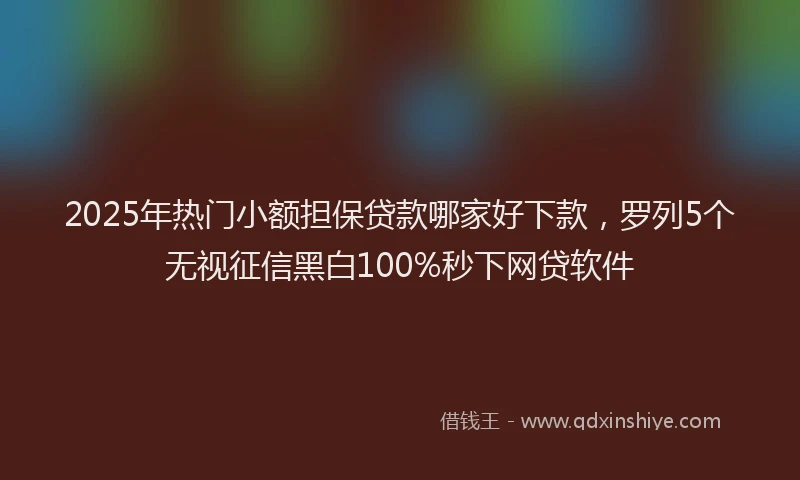 2025年热门小额担保贷款哪家好下款，罗列5个无视征信黑白100%秒下网贷软件