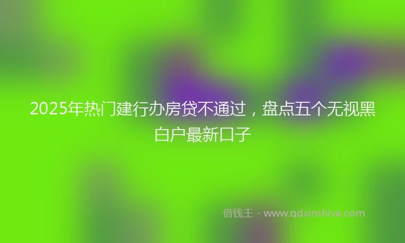 2025年热门建行办房贷不通过，盘点五个无视黑白户最新口子