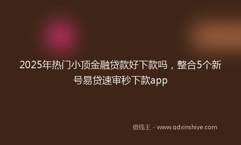 2025年热门小顶金融贷款好下款吗，整合5个新号易贷速审秒下款app