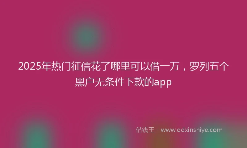 2025年热门征信花了哪里可以借一万，罗列五个黑户无条件下款的app