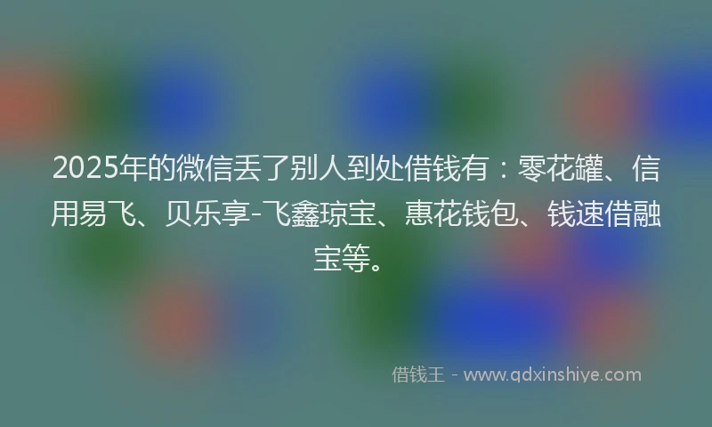 2025年的微信丢了别人到处借钱有：零花罐、信用易飞、贝乐享-飞鑫琼宝、惠花钱包、钱速借融宝等。