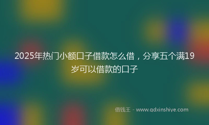 2025年热门小额口子借款怎么借，分享五个满19岁可以借款的口子