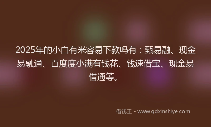 2025年的小白有米容易下款吗有：甄易融、现金易融通、百度度小满有钱花、钱速借宝、现金易借通等。