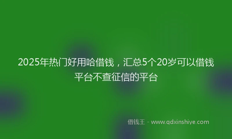 2025年热门好用哈借钱，汇总5个20岁可以借钱平台不查征信的平台