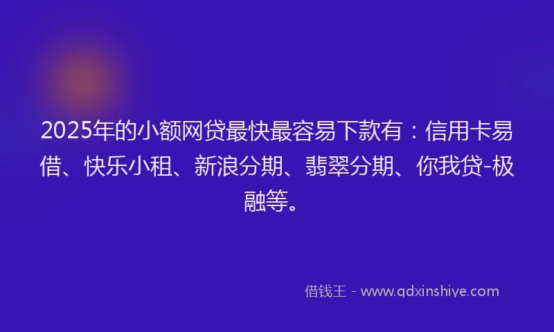 2025年的小额网贷最快最容易下款有：信用卡易借、快乐小租、新浪分期、翡翠分期、你我贷-极融等。