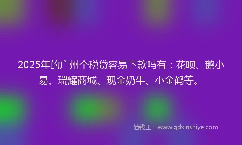 2025年的广州个税贷容易下款吗有：花呗、鹅小易、瑞耀商城、现金奶牛、小金鹤等。