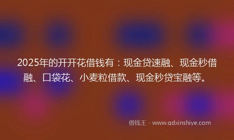 2025年的开开花借钱有：现金贷速融、现金秒借融、口袋花、小麦粒借款、现金秒贷宝融等。